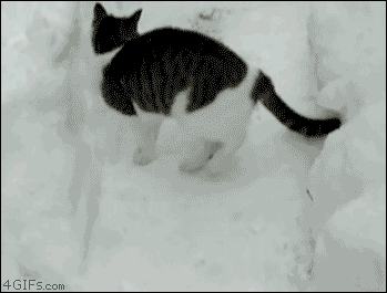 He'll freeze you with his indifference.