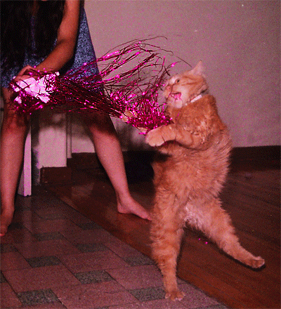 Has frozen time to foil the evil plans of this string.