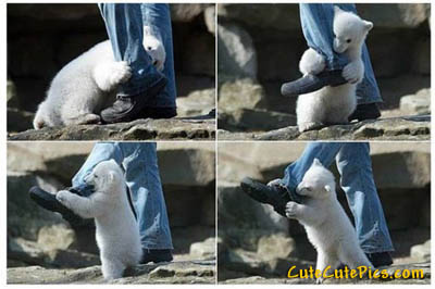 Just kidding, it's adorable.