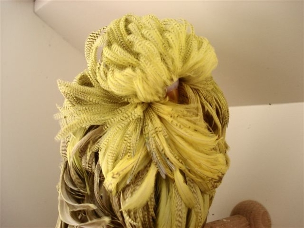 I think there's a parakeet under all of that. Just like humans, birds have succumbed to the merciless, unattainable standards of the fashion industry.