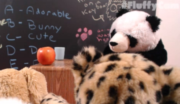The Pet Collective launched a new livecam on April 1, 2013, carrying on in their tradition of #CorgiCam, #HuskyCam, and #KittenCam, with a logical progression to the animals often closest to our hearts - stuffed animals.