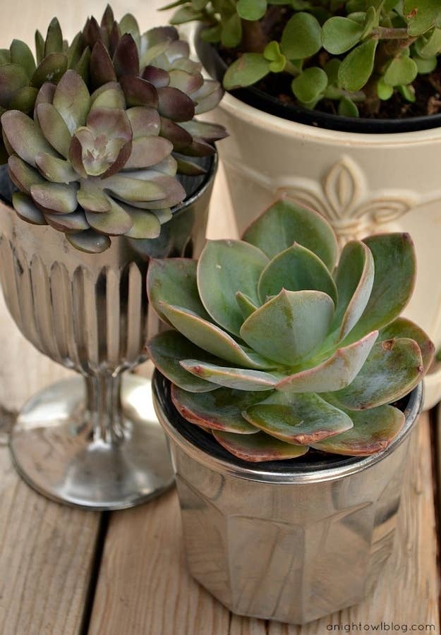 Here's how to make these.