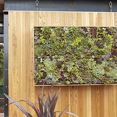 Find out how to make a vertical succulent garden here.