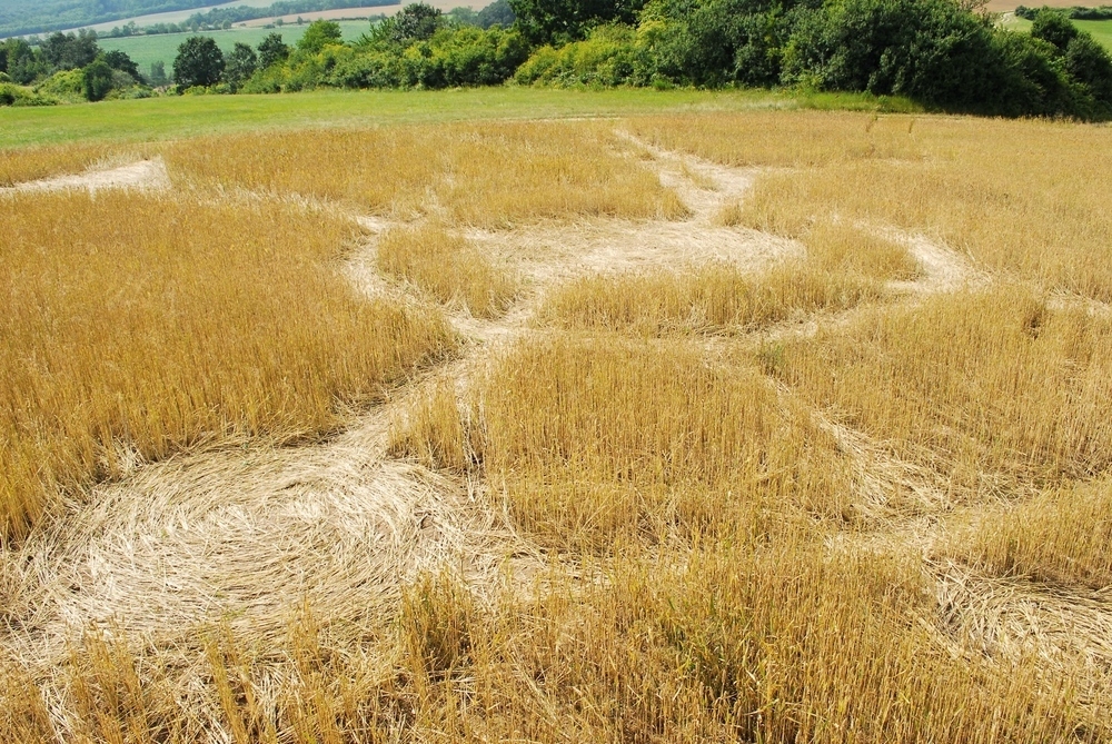 Aliens use crop circles to say hello. One man used it to pop the question.