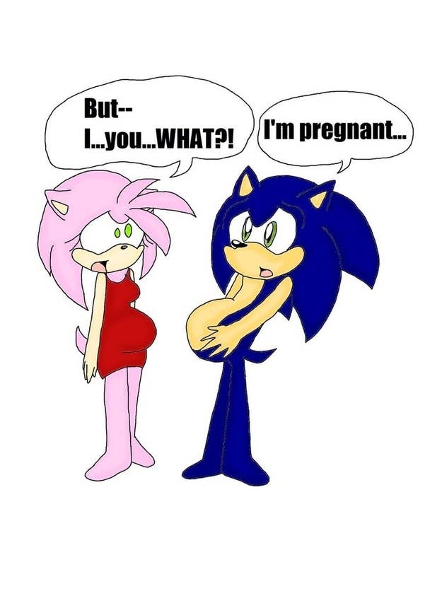 Sonic Pregnant Youtube : Sonic The Hedgehog Sonic For Hire Wiki Fandom ...
