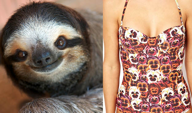 Flower pattern or sloth faces?Swimming suit source: ASOS