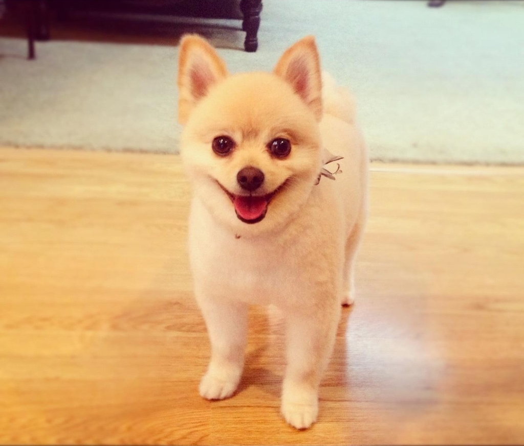 THAT SMILE!