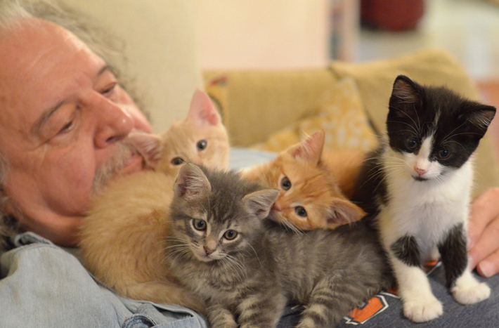 Cinotto's father is also known as "The Kitten Whisperer". When he visits, kittens can never seem to get enough of him!