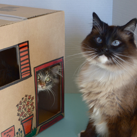 Charlene and Wylla hope you come visit them soon.