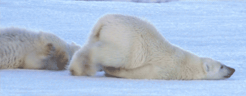 You'll go to the library...as soon as you wake up. Just one more hour of sleep...maybe four.