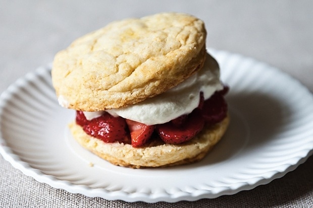 Using a fork or serrated knife, cut the shortcakes in half lengthwise. Place the bottom halves plates and generously spoon the macerated fruit and juices over them. Top with a heaping (HEAPING) dollop of whipped cream. Top with the top halves of the shortcakes.