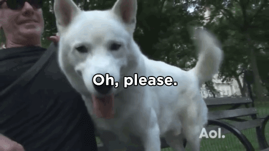 Do paws have fingers?