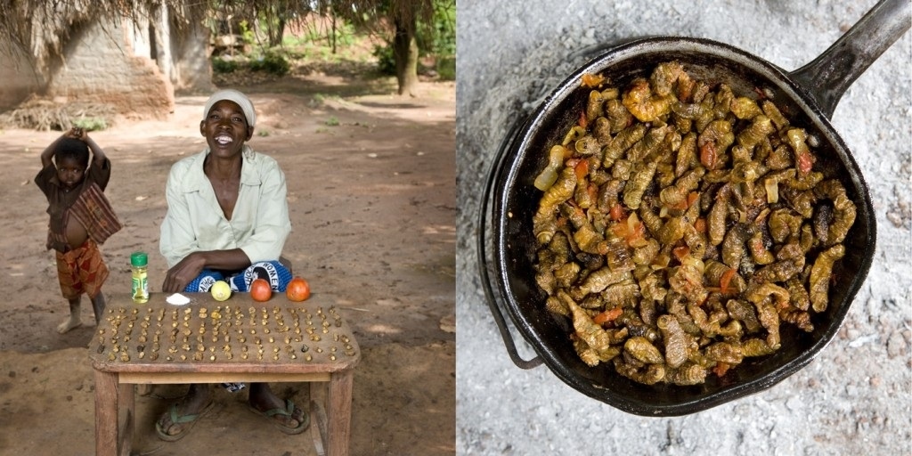 Regina Lifumbo, 53 years old. Finkubala (Caterpillar in tomato sauce)