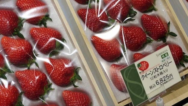 Image result for fruit japan expensive