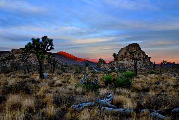 15 Images Of What Morning Looks Like Around The World