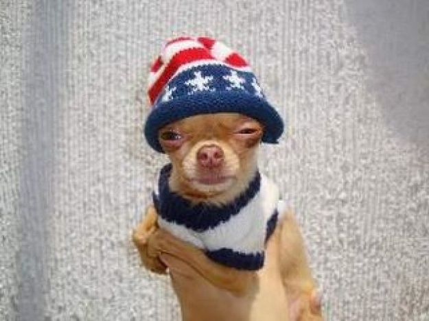 I'll take a side of attitude with that hat!