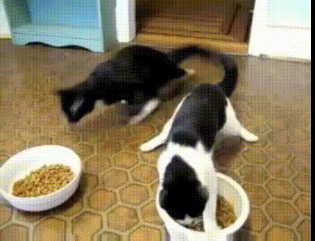 ...but getting to your food is a completely different story.