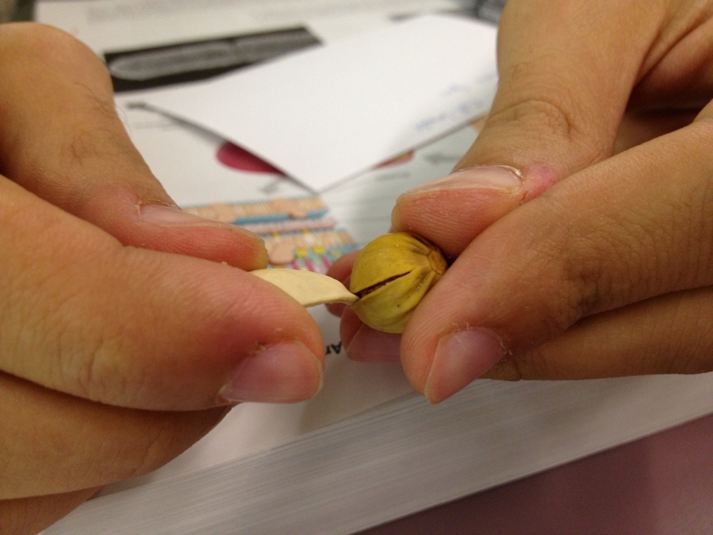 Use half a shell from a pistachio you've already eaten!