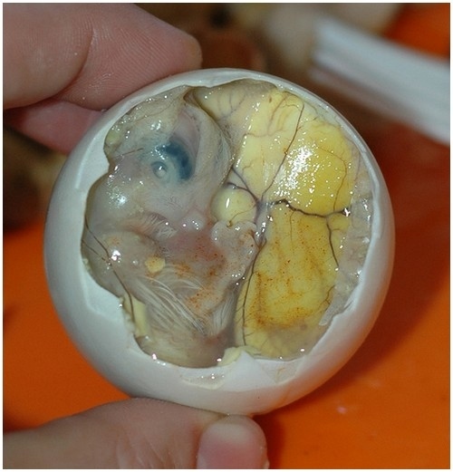 Balut is a delicacy in the Philippines and South East Asia. Allowed to develop to certain levels, these duck eggs apparently taste surprisingly similar to chicken. Figure that...