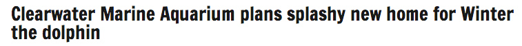 And maybe even a entirely new aquarium, according to local news.