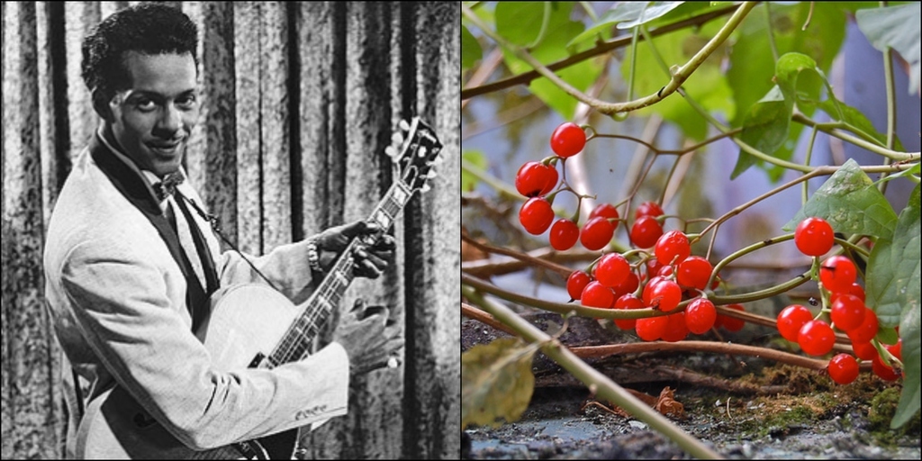 Daughter of Chuck Berry