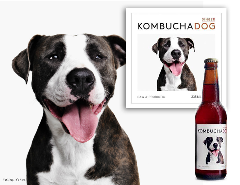 The homeless dogs are photographed, placed on the label and then adoptable via their website.