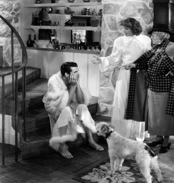 "How can all these things happen to just one person?"A paleontologist (Grant), a leopard, and a more than slightly crazy lady who seems determined to ruin said paleontologist's life (Hepburn).This movie is a true joy and once again features a rather daintily clad Cary Grant.Plus, it's #88 on the AFI's 100 Greatest American Movies of All Time.