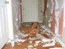 Step up your game, dog.