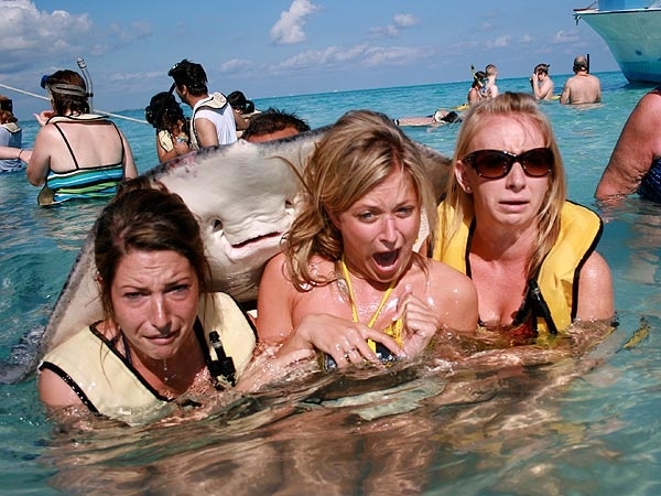 Always ruining pictures. Tisk tisk.