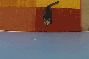 animated