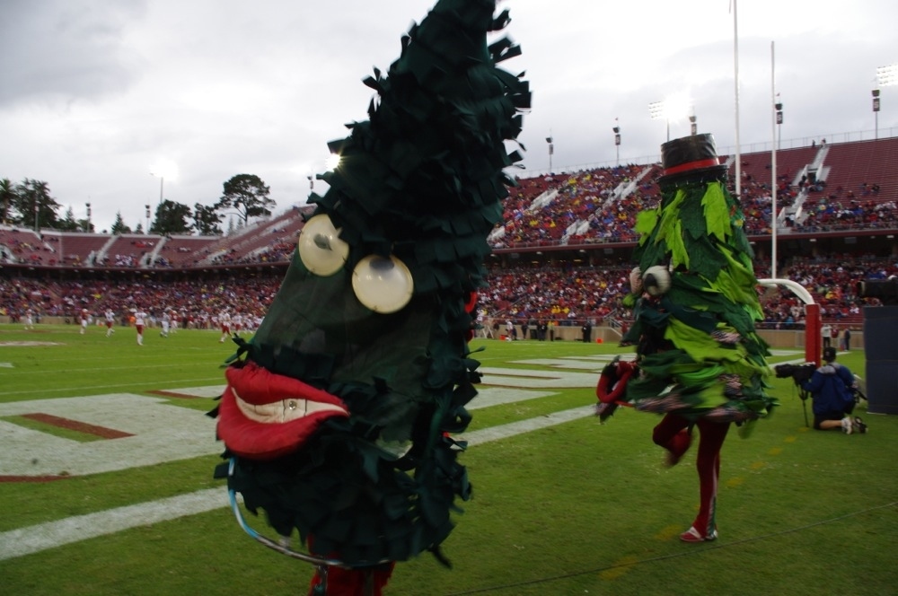 Stanford is officially the Cardinal, but you still have to fear the tree, right?