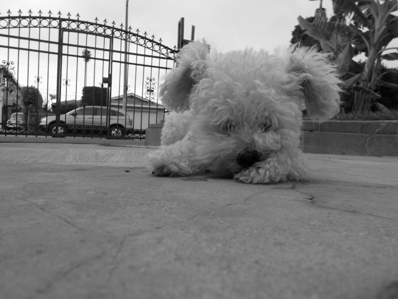 Photographer: Estrella, Age 14