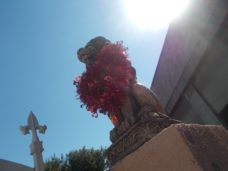 Photographer: Joaquin, Age 13