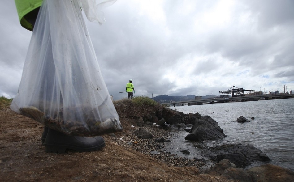 12 Tragic Images Of The Massive Molasses Spill At Honolulu Harbor