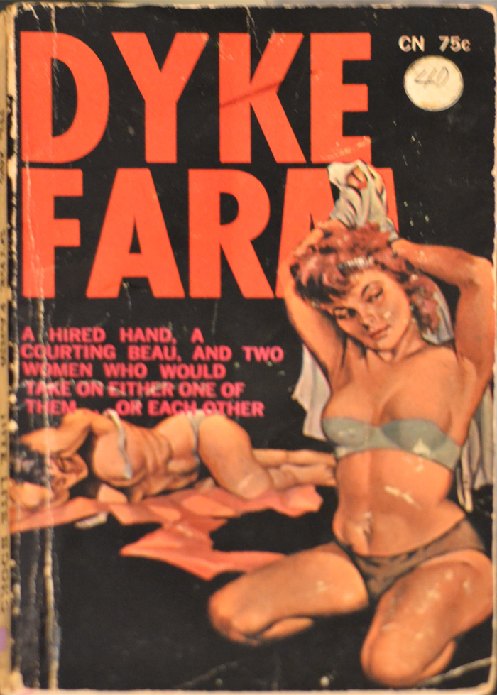 Peek Inside 22 Vintage Lesbian Pulp Novels pic