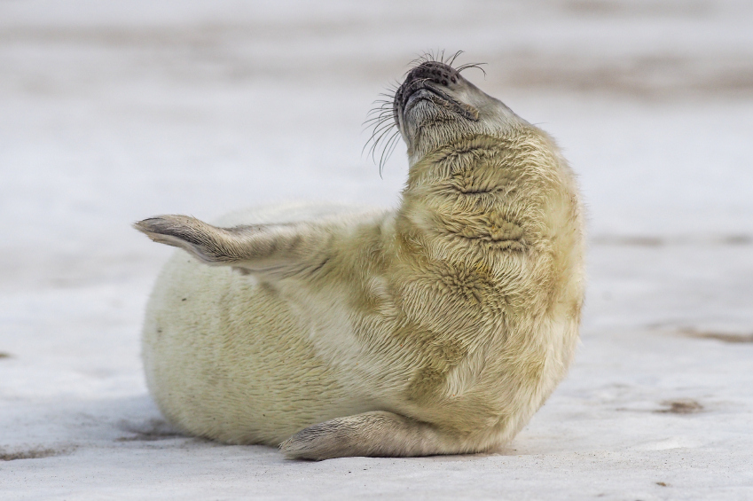 Strike a pose!