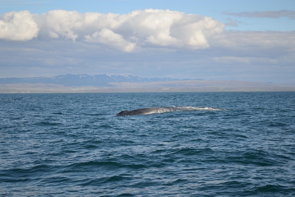 Outside of Húsavík