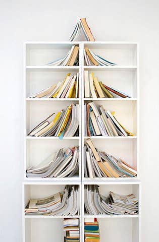 The shelf tree.
