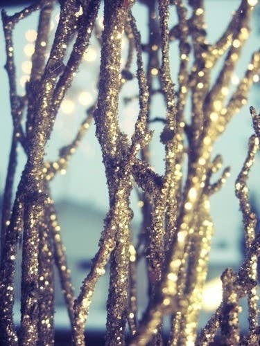 For the holidays, you can still hang ornaments on them.