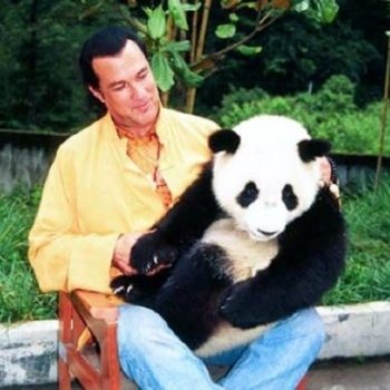 Steven Seagal with a panda.