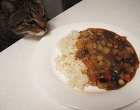 She can't wait to try your latest recipe.