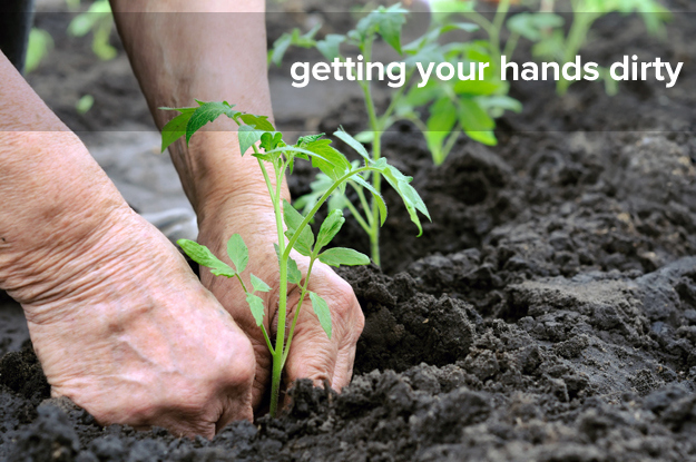 Playing in the mud past a certain age might not be a good idea, but you might want to consider skipping the cloves next time you do some gardening. A 2010 study found that a bacterium naturally found in soil demonstrated accelerated learning and brightened moods through neuron stimulation and raising serotonin levels in its subjects.