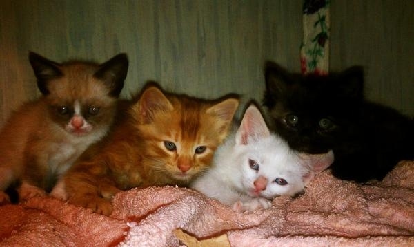 "Ugh, really? You're taking a picture of us?"
