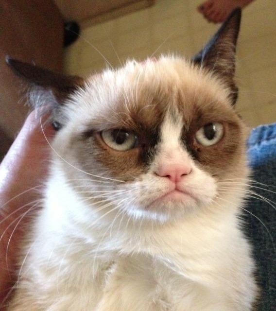 She's not too pleased that her kitten pics got released.