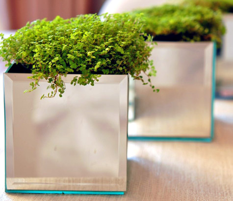 Learn how to make these beauties here.