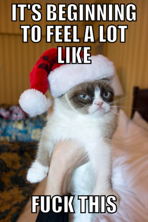 Grumpy Cat Pictures With Captions, grumpy cat, tech support