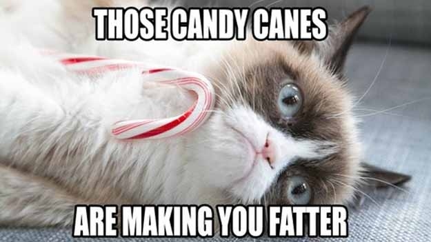 grumpy cat christmas quotes