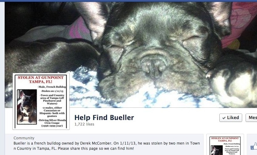 The Help Find Bueller facebook page garnered 1,748 likes in just 3 days with people working hard to continue to spread the word.