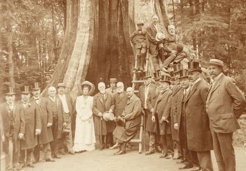 1. Photograph shows a touring car backed into the Hollow Tree, 1923. 2. Car parked in Hollow Tree at Stanley Park, Circa 1920. 3. Bicyclists in front of the Hollow Tree, 1902. 4. A group gathered around the Hollow Tree, 1905-7. 5. Lord Strathcona and Sir MacKenzie Bowell with group, 1909.