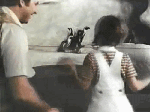 Watch the whole Aquarium video here.